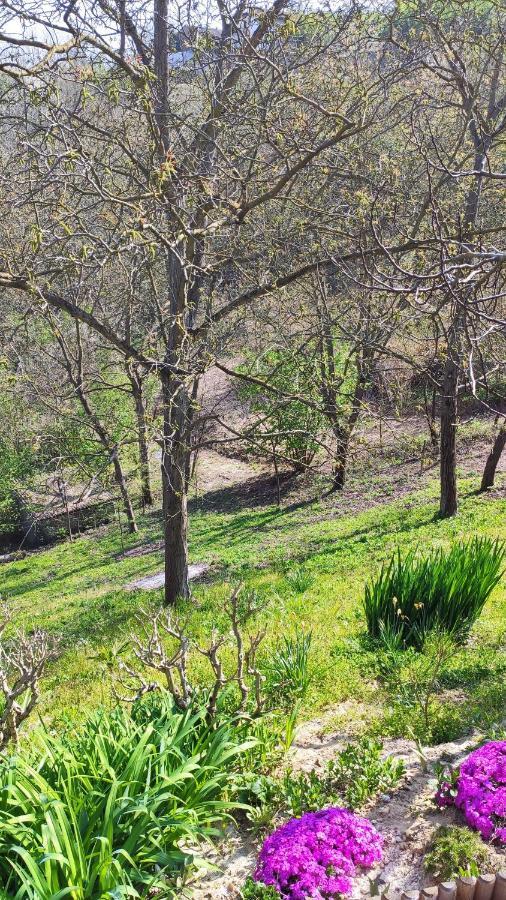 Cascina Stella Βίλα Άστι Εξωτερικό φωτογραφία